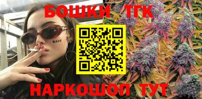 индика Тула