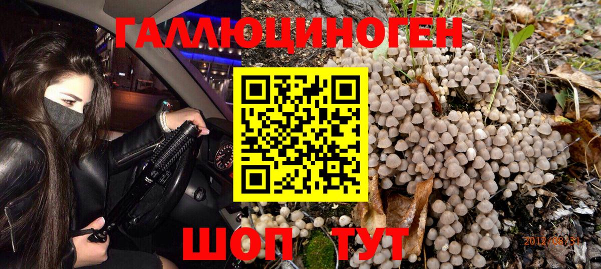 Псилоцибиновые грибы прущие грибы  Псилоцибиновые грибы Psilocybe  Белогорск  Вход с VPN 